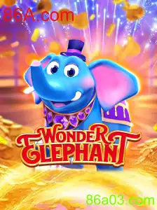 WonderElephant